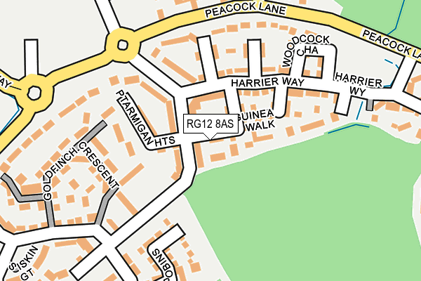 RG12 8AS map - OS OpenMap – Local (Ordnance Survey)