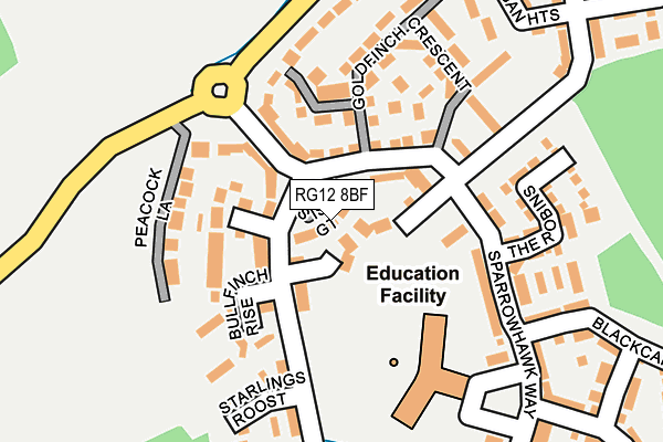 RG12 8BF map - OS OpenMap – Local (Ordnance Survey)