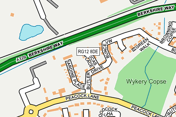 RG12 8DE map - OS OpenMap – Local (Ordnance Survey)