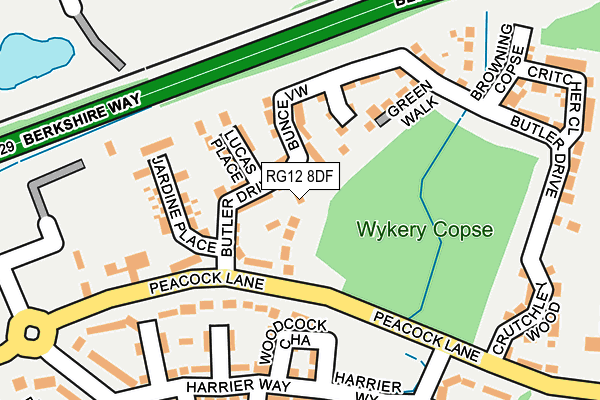 RG12 8DF map - OS OpenMap – Local (Ordnance Survey)