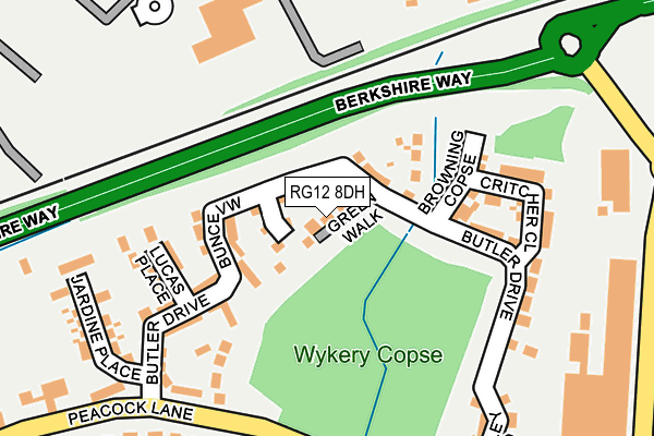 RG12 8DH map - OS OpenMap – Local (Ordnance Survey)