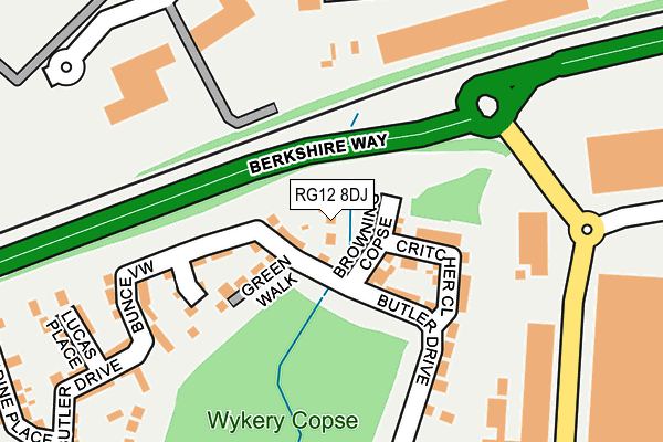 RG12 8DJ map - OS OpenMap – Local (Ordnance Survey)