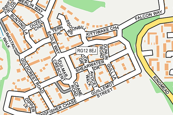 RG12 8EJ map - OS OpenMap – Local (Ordnance Survey)