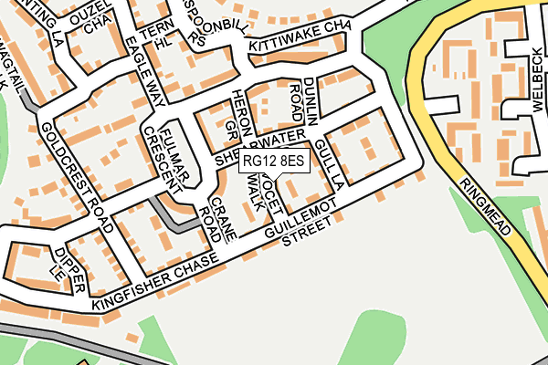 RG12 8ES map - OS OpenMap – Local (Ordnance Survey)