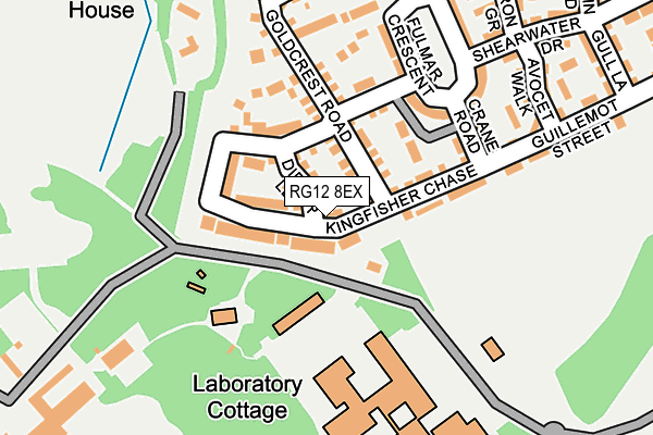 RG12 8EX map - OS OpenMap – Local (Ordnance Survey)