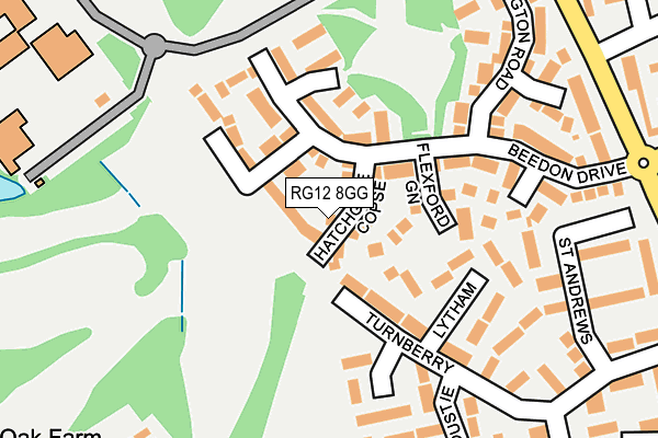 RG12 8GG map - OS OpenMap – Local (Ordnance Survey)