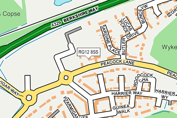 RG12 8SS map - OS OpenMap – Local (Ordnance Survey)