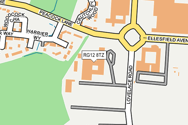 RG12 8TZ map - OS OpenMap – Local (Ordnance Survey)