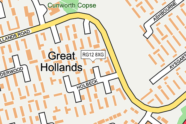 RG12 8XG map - OS OpenMap – Local (Ordnance Survey)