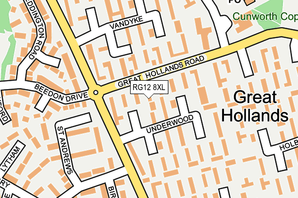 RG12 8XL map - OS OpenMap – Local (Ordnance Survey)