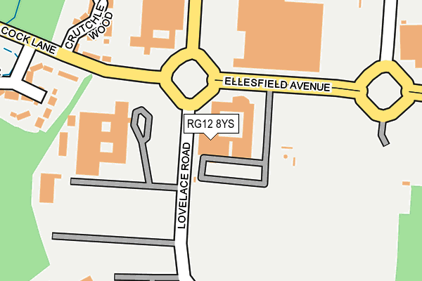 RG12 8YS map - OS OpenMap – Local (Ordnance Survey)