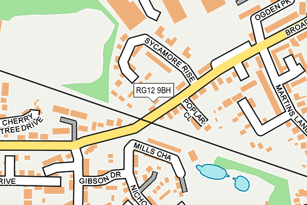 RG12 9BH map - OS OpenMap – Local (Ordnance Survey)