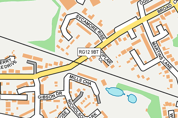 RG12 9BT map - OS OpenMap – Local (Ordnance Survey)