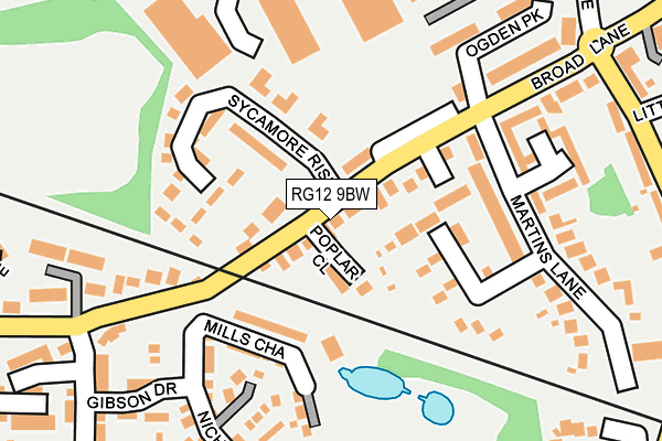 RG12 9BW map - OS OpenMap – Local (Ordnance Survey)