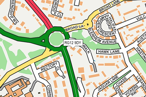 RG12 9DY map - OS OpenMap – Local (Ordnance Survey)