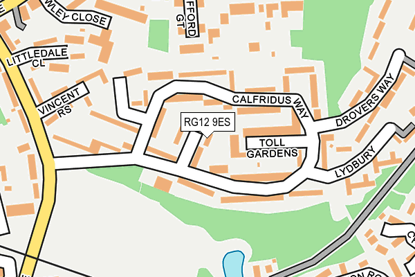 RG12 9ES map - OS OpenMap – Local (Ordnance Survey)