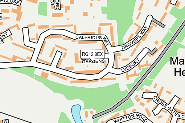 RG12 9EX map - OS OpenMap – Local (Ordnance Survey)