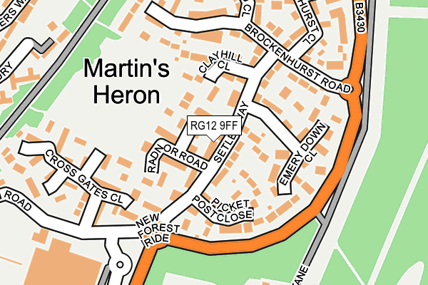 RG12 9FF map - OS OpenMap – Local (Ordnance Survey)