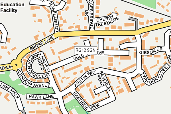 RG12 9GN map - OS OpenMap – Local (Ordnance Survey)