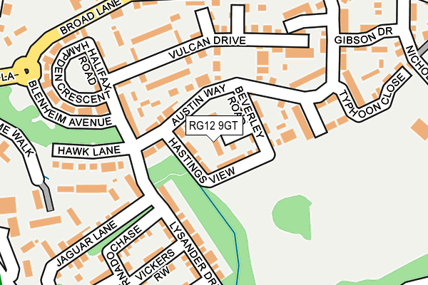 RG12 9GT map - OS OpenMap – Local (Ordnance Survey)