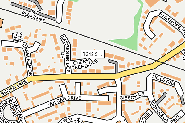 RG12 9HJ map - OS OpenMap – Local (Ordnance Survey)