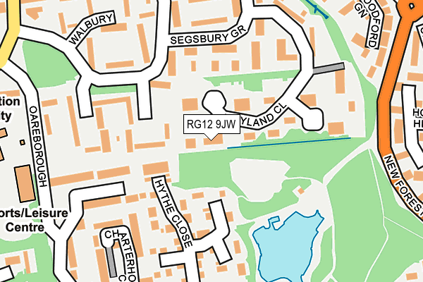 RG12 9JW map - OS OpenMap – Local (Ordnance Survey)