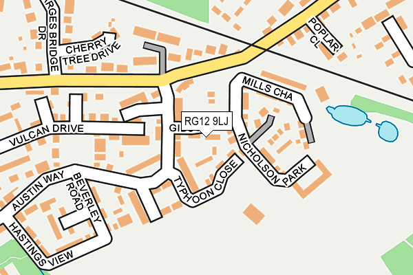 RG12 9LJ map - OS OpenMap – Local (Ordnance Survey)