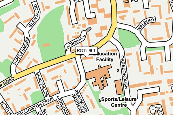 RG12 9LT map - OS OpenMap – Local (Ordnance Survey)