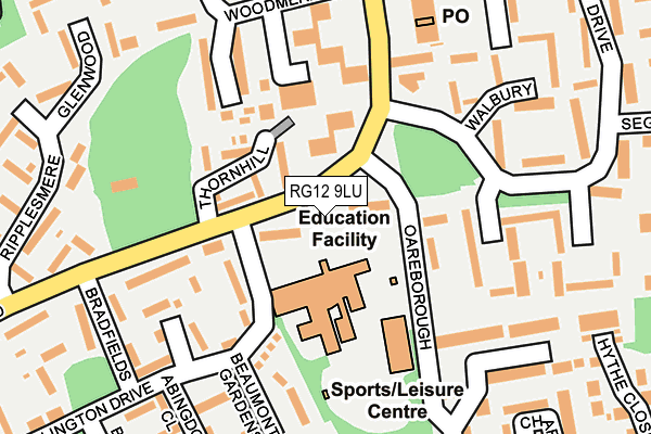 RG12 9LU map - OS OpenMap – Local (Ordnance Survey)