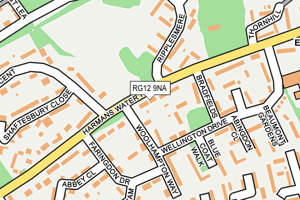 RG12 9NA map - OS OpenMap – Local (Ordnance Survey)