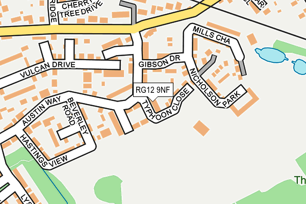 RG12 9NF map - OS OpenMap – Local (Ordnance Survey)