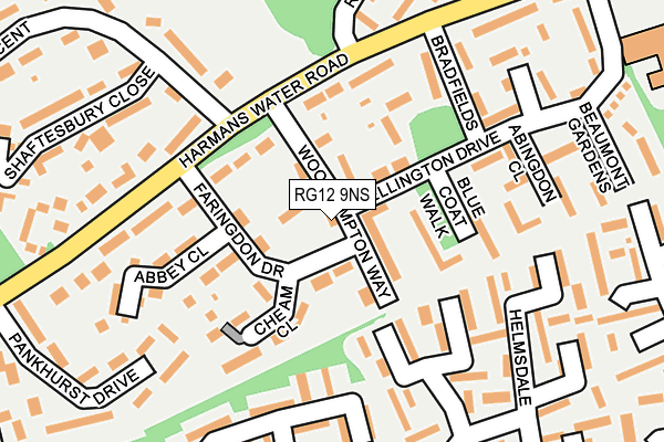 RG12 9NS map - OS OpenMap – Local (Ordnance Survey)