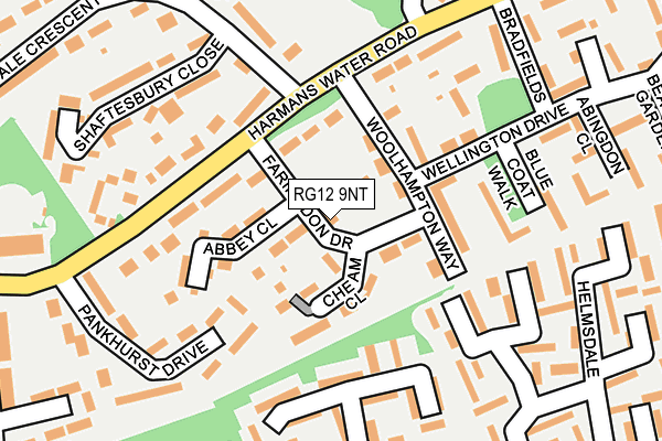 RG12 9NT map - OS OpenMap – Local (Ordnance Survey)