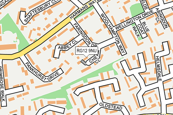 RG12 9NU map - OS OpenMap – Local (Ordnance Survey)