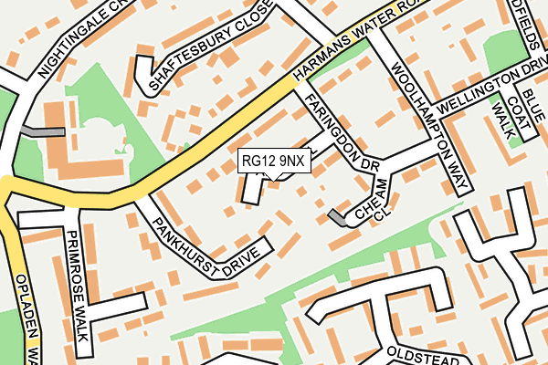 RG12 9NX map - OS OpenMap – Local (Ordnance Survey)