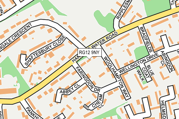 RG12 9NY map - OS OpenMap – Local (Ordnance Survey)