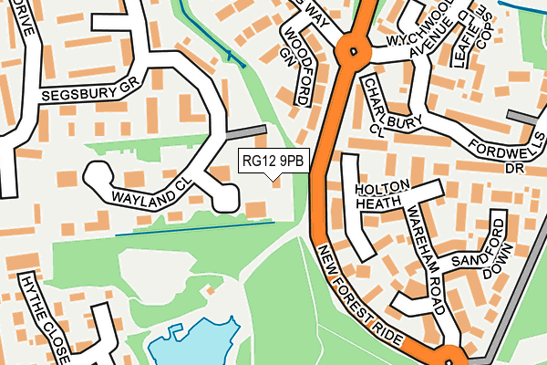 RG12 9PB map - OS OpenMap – Local (Ordnance Survey)