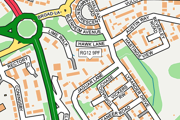 RG12 9PF map - OS OpenMap – Local (Ordnance Survey)