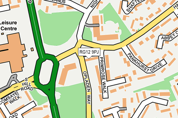 RG12 9PJ map - OS OpenMap – Local (Ordnance Survey)