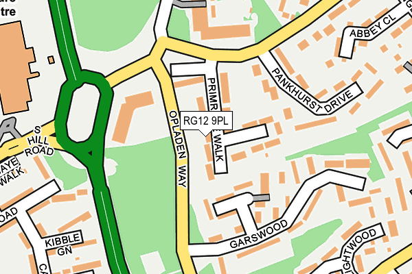 RG12 9PL map - OS OpenMap – Local (Ordnance Survey)
