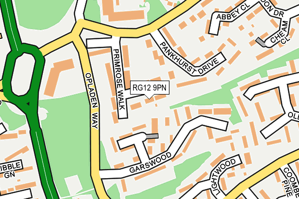 RG12 9PN map - OS OpenMap – Local (Ordnance Survey)