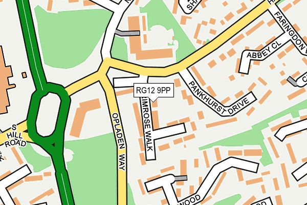 RG12 9PP map - OS OpenMap – Local (Ordnance Survey)