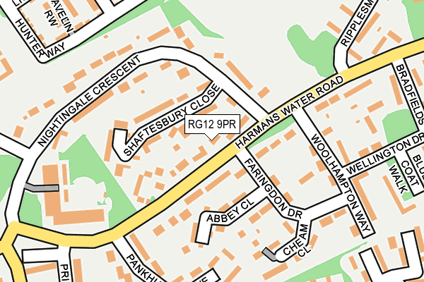 RG12 9PR map - OS OpenMap – Local (Ordnance Survey)