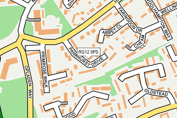 RG12 9PS map - OS OpenMap – Local (Ordnance Survey)
