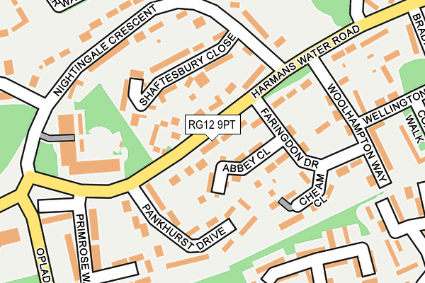 RG12 9PT map - OS OpenMap – Local (Ordnance Survey)