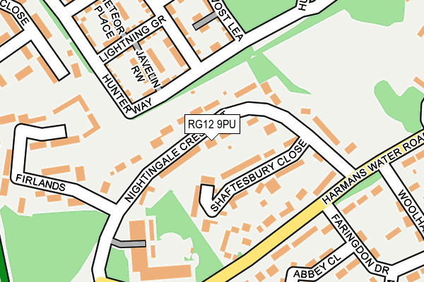 RG12 9PU map - OS OpenMap – Local (Ordnance Survey)