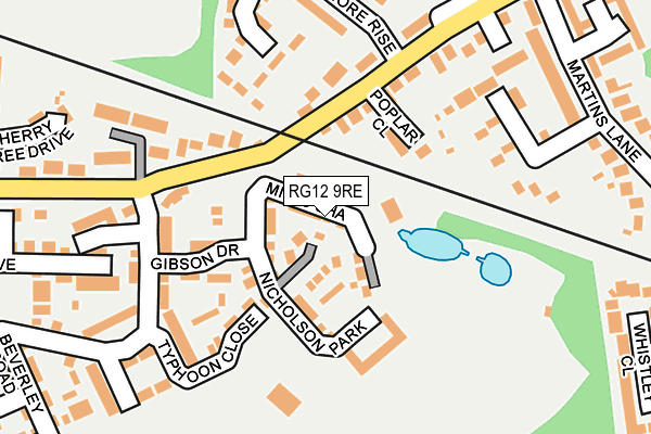 RG12 9RE map - OS OpenMap – Local (Ordnance Survey)