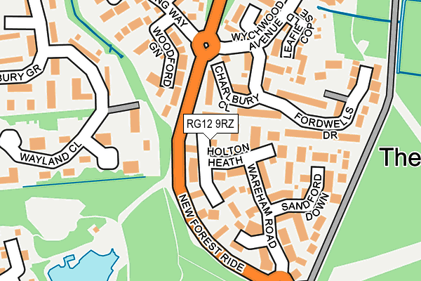 RG12 9RZ map - OS OpenMap – Local (Ordnance Survey)