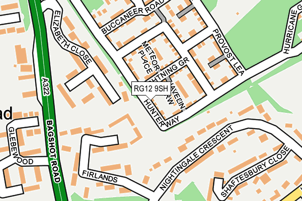 RG12 9SH map - OS OpenMap – Local (Ordnance Survey)