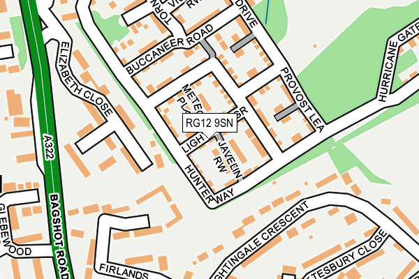 RG12 9SN map - OS OpenMap – Local (Ordnance Survey)